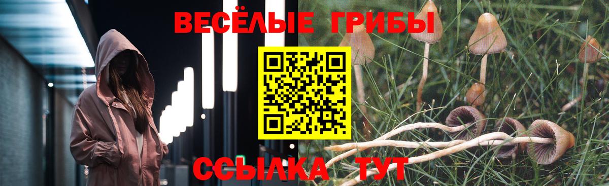 Гулькевичи  Галлюциногенные грибы GOLDEN TEACHER  купить   Вход с VPN 