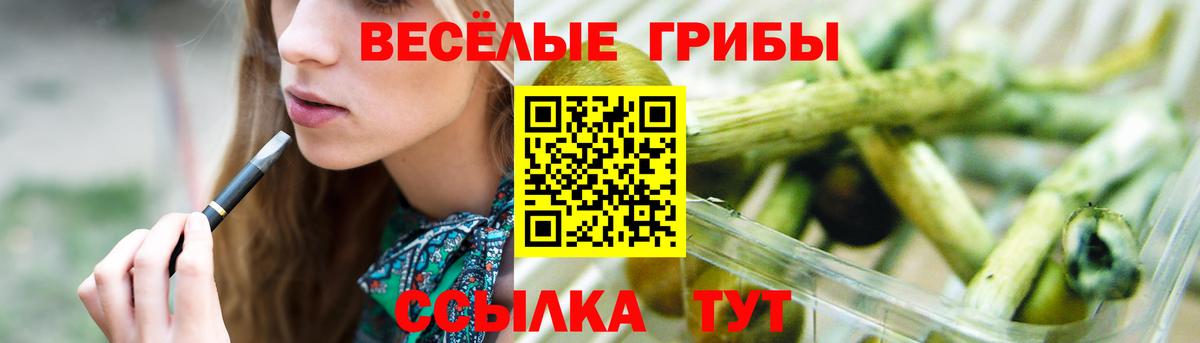 Псилоцибиновые грибы Psilocybine cubensis Гулькевичи